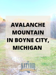 Avalanche Mountain Boyne City Michigan